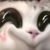 系统