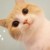 蛋黃
