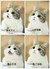 同学B