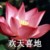 卑微的作者大大