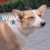 biki作者大大