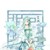 蒙德祖玛