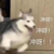 同学