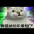 系统