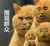 现代女友群众