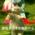 林凡（喜歡趙露思）