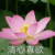 繁星（作者大大）