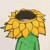 孙九芳