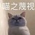 莹妈
