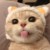 傻傻