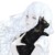 雪冉（編劇）