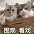 候霄云