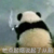万能龙套