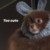 Kuma