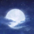 同学