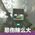 帕特里克