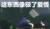 万能人物