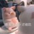 猪