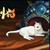 系統(tǒng)