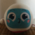 蛋君