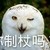 曾经的玩伴