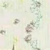 作者，啊啊啊啊更文