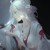 東方音洛宮女.容絲