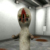 scp173