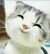 保镖