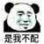 过客.