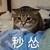 作者