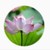 言菲（言昭雪妈妈）