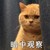 霸总家的喵星人