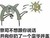 花痴1号
