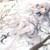 大当家—凌樱雪