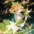 叶星澜