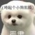 作者漾漾子