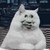 庄园主