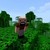 notch