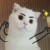 异空间怪兽猫猫