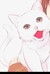 沈慕寒（猫形态）