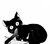 孤渊（猫形态）