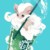 抹茶
