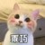 作者