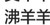 沸羊羊
