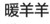 暖羊羊
