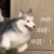 粉丝