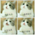 万能角色