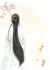 系统