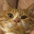 小萱